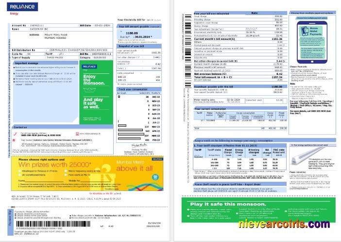 India Reliance Energy business utility bill, 2 pages